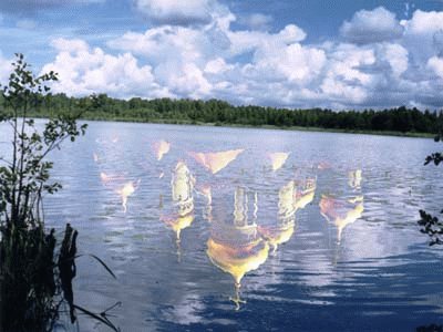 Озеро Светлояр